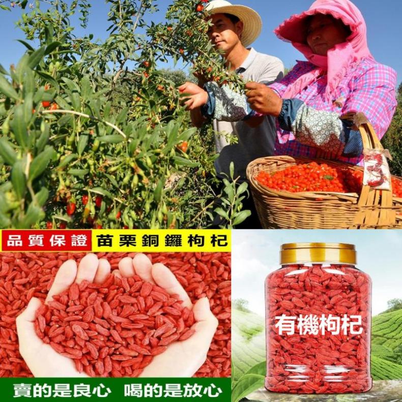 1666266258967150.jpg 166616991053019220.jpg