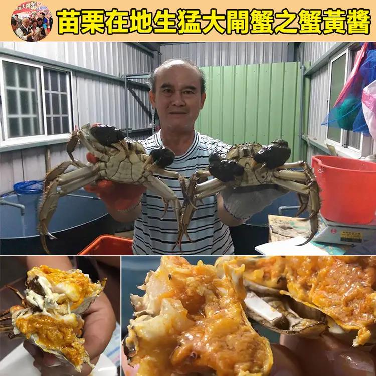 5台斤母蟹製作一瓶醬！！正宗的【台灣苗栗大閘蟹】蟹黃醬，純手工熬制，蟹肉飽滿，鮮香四溢，老公一口氣買了10罐！