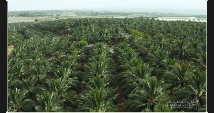 1675932943128804.png 微信图片_202302091649283.png