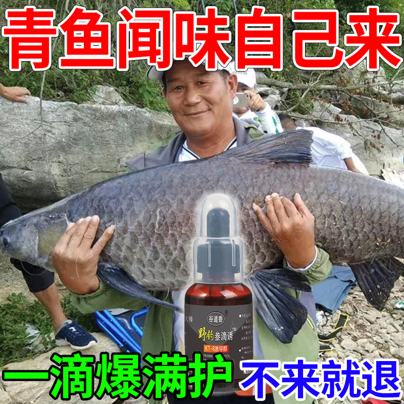 買1送2 !! 釣魚之神推薦KT-8激導醇釣魚液 1滴誘魂/3滴爆護 讓你✅快速聚魚✅久釣不散