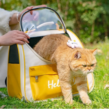 耐抓透氣外出寵物背包
